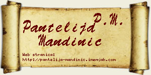 Pantelija Mandinić vizit kartica